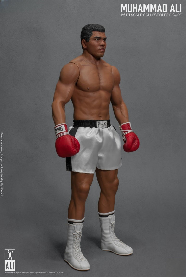 Figurine articulée du Grand Boxeur 