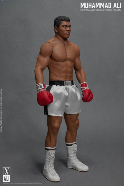 Figurine articulée du Grand Boxeur 