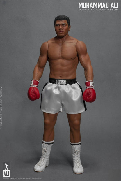 Figurine articulée du Grand Boxeur 