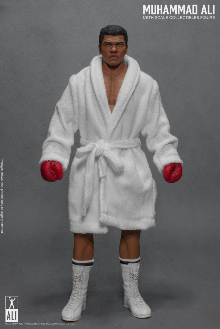 Figurine articulée du Grand Boxeur 