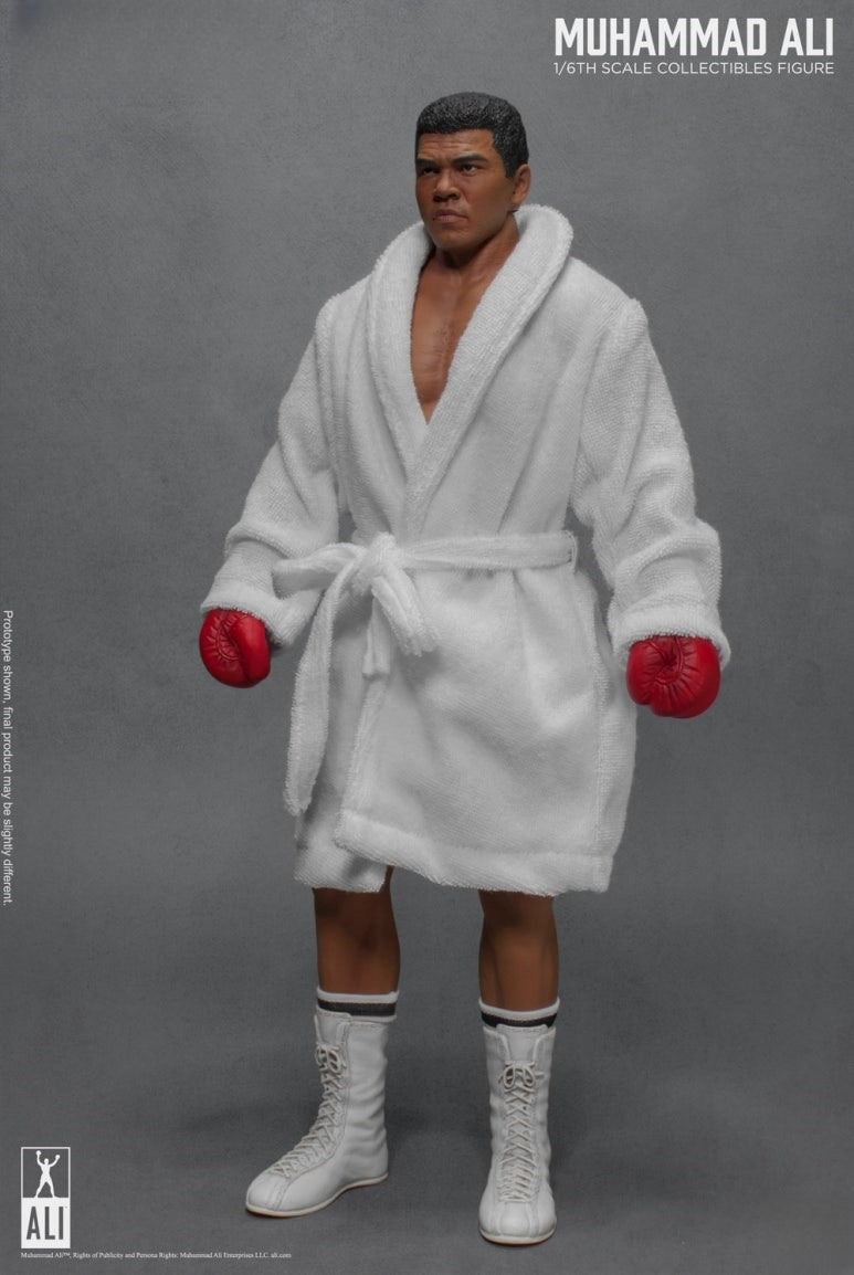 Figurine articulée du Grand Boxeur 