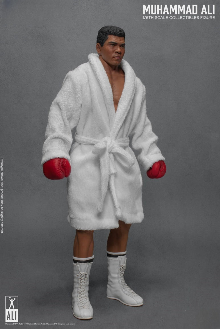 Figurine articulée du Grand Boxeur 