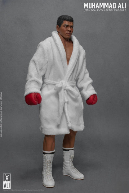 Figurine articulée du Grand Boxeur 