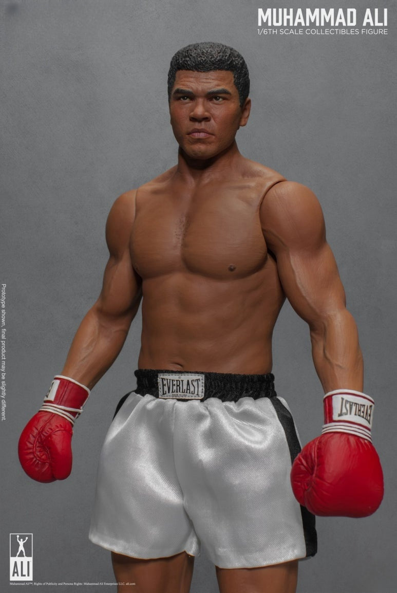 Figurine articulée du Grand Boxeur 