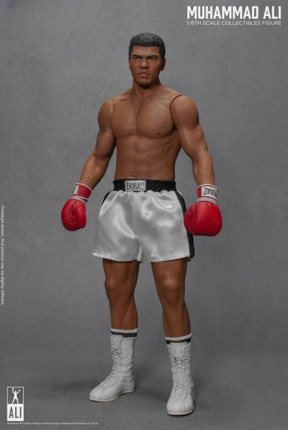 Figurine articulée du Grand Boxeur 