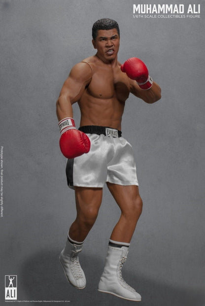 Figurine articulée du Grand Boxeur 