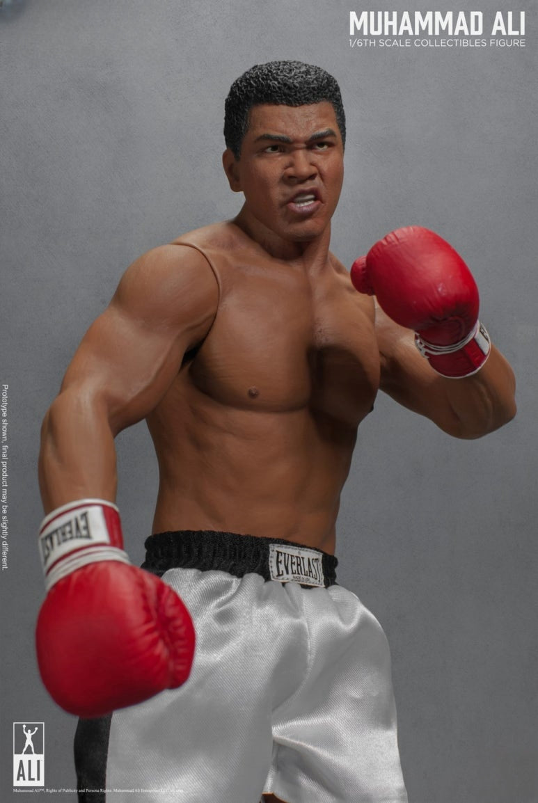 Figurine articulée du Grand Boxeur 