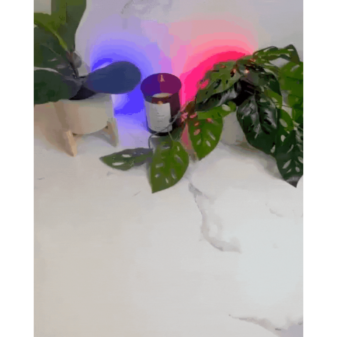 Purificateur de fumée PureAir