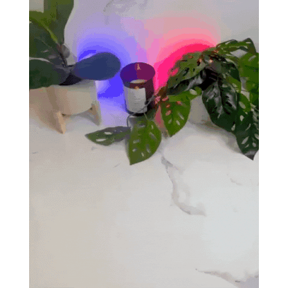 Purificateur de fumée PureAir